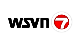 WSVN 7